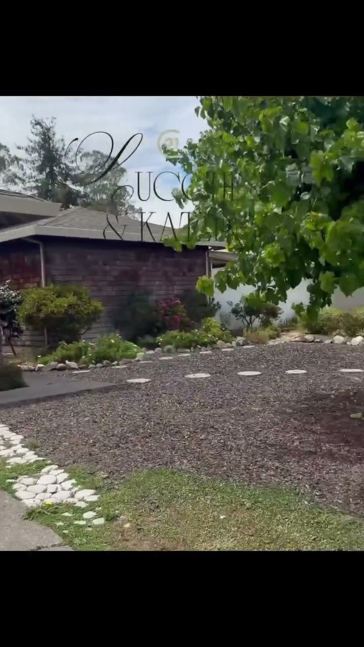 171 Alma Ave, Rohnert Park — Open House
